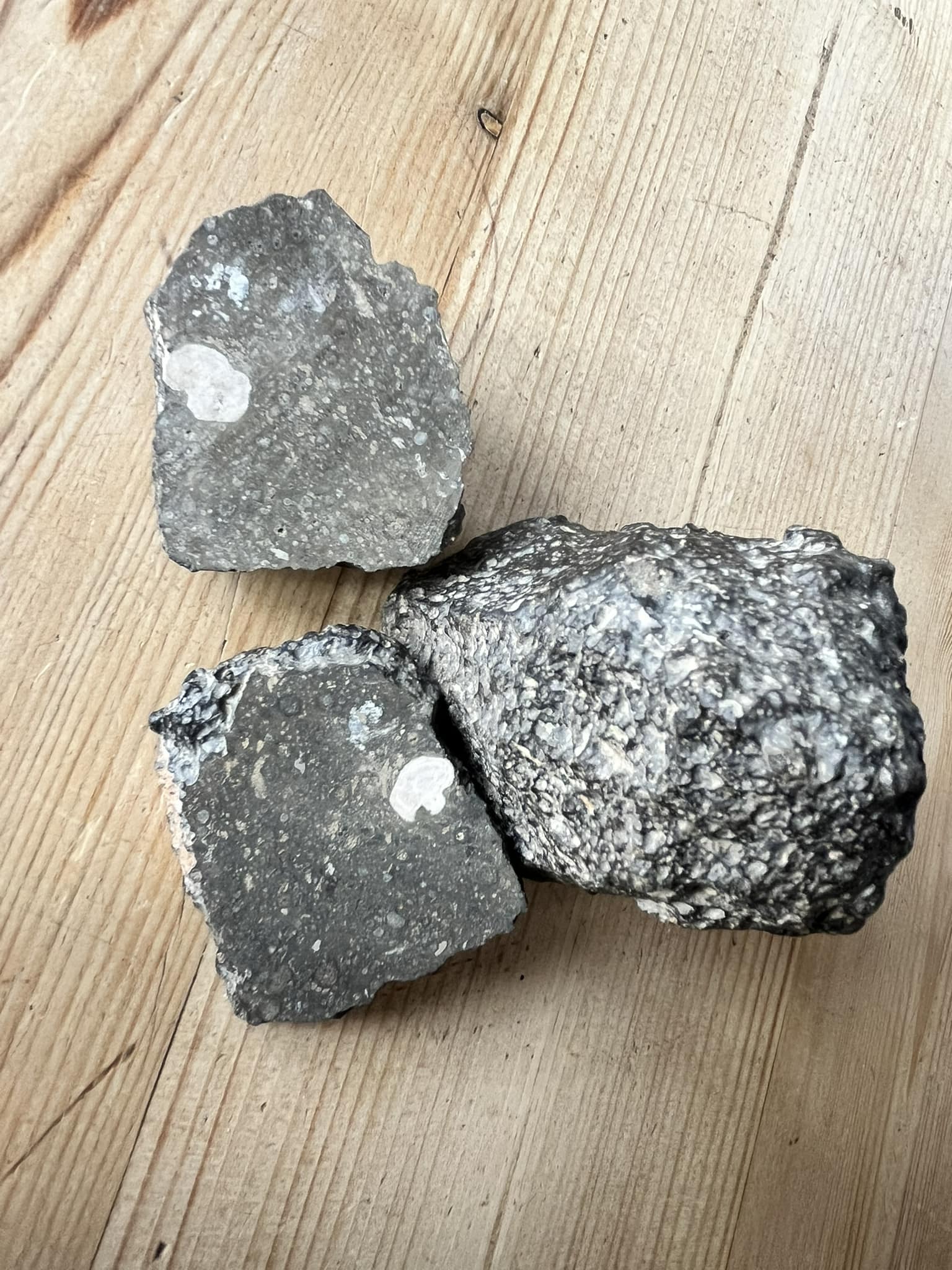 513502698 9954209718030839 4329061255286322259 n