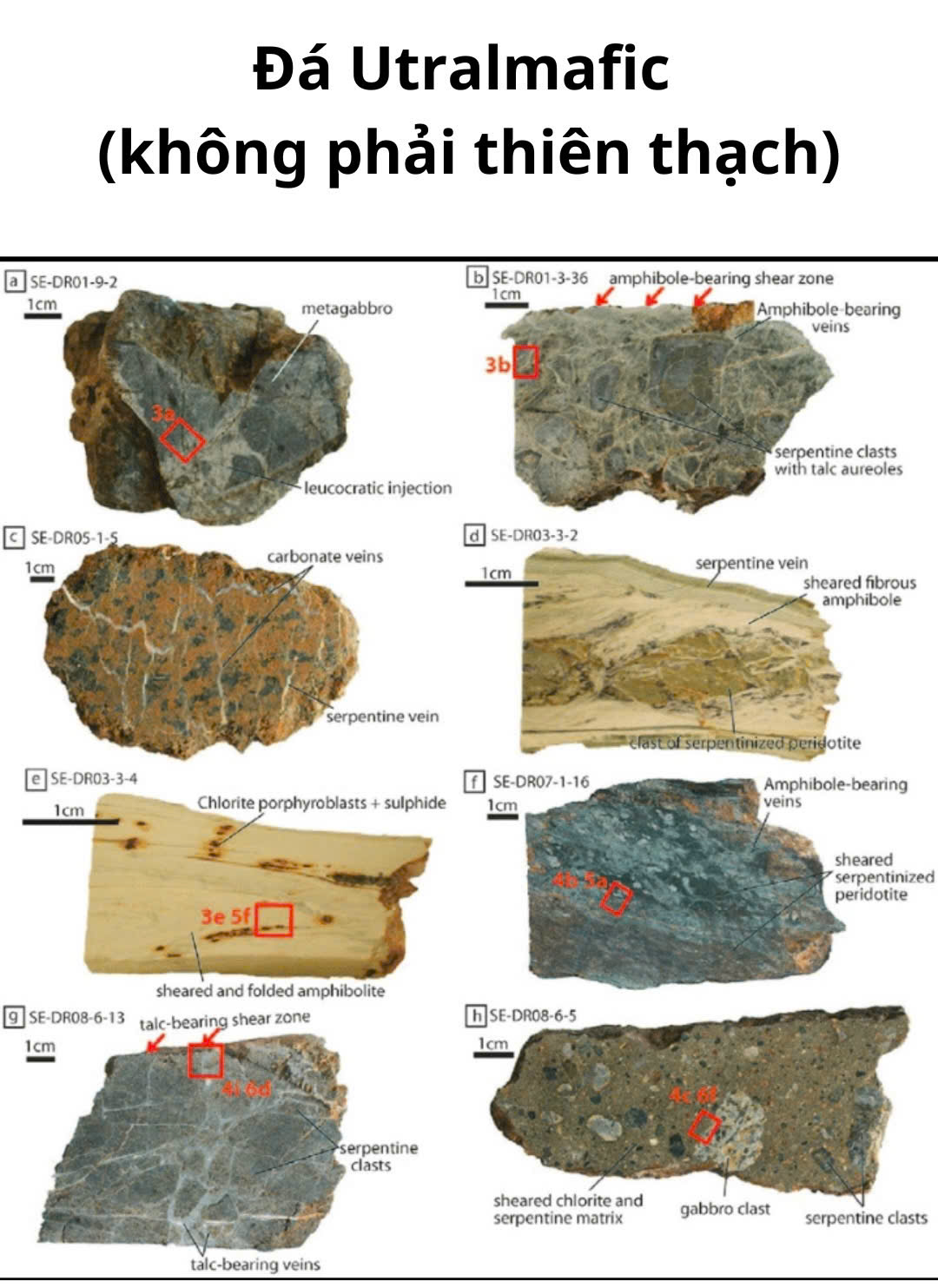 z7581563444003 9d3900c3fc068ad05d58206d13e3a9b7