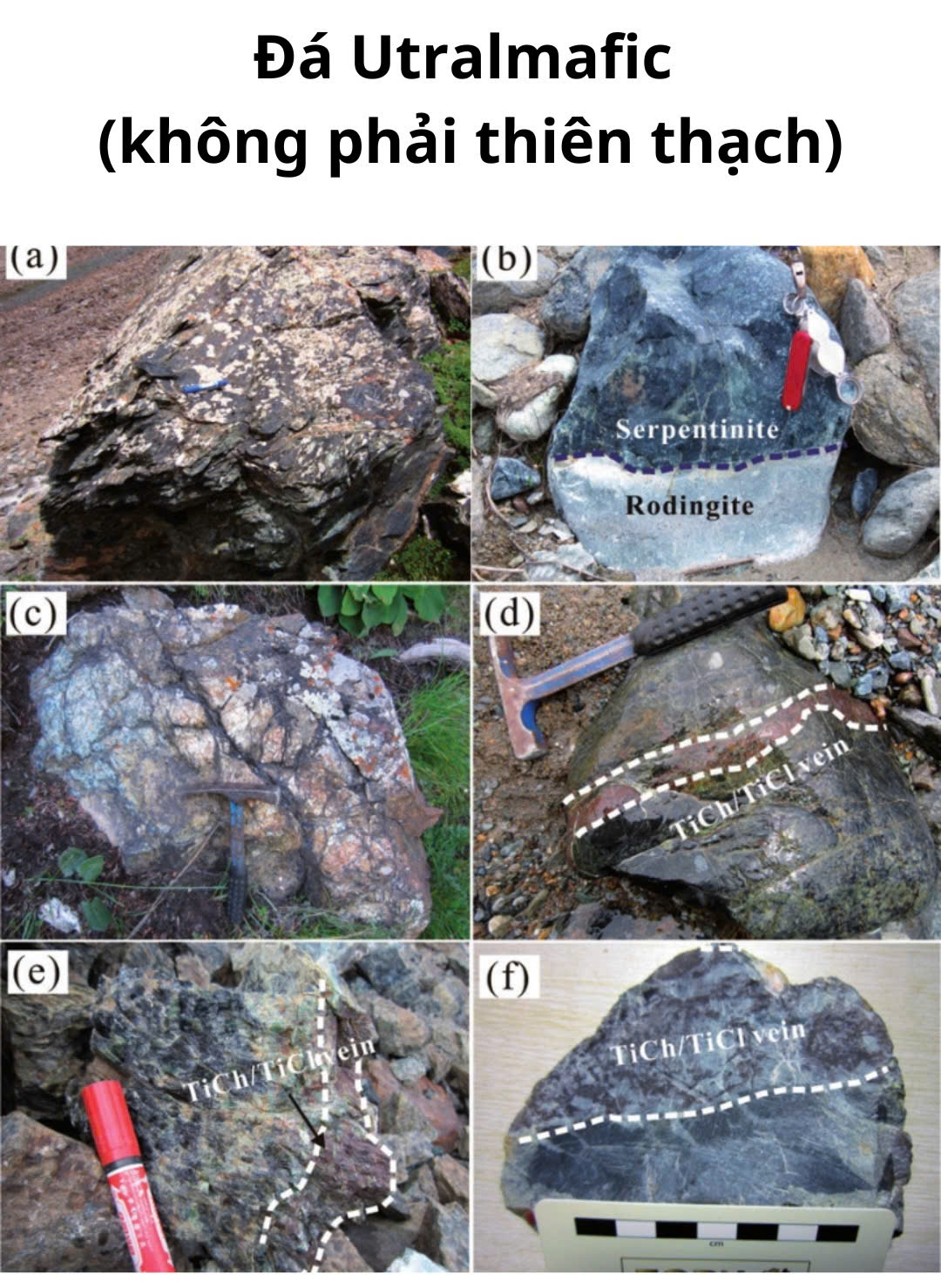 z7581563452766 3f502c071f6b359d1c443d2866b76aa9