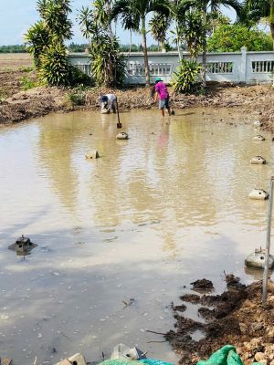 Nhà trên ruộng tại Rạch Sỏi Kiên Giang 
