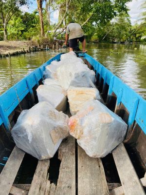 Nhà trên ruộng tại Rạch Sỏi Kiên Giang 