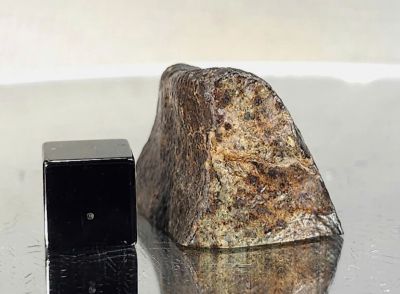 NWA 869 (119$ ~ 3.200.000vnđ)