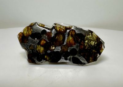 Pallasite - PMG 