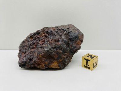 Pallasite - Unc