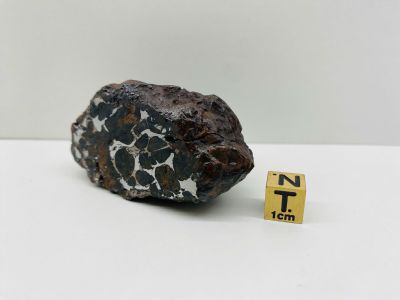 Pallasite - Unc