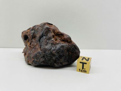 Pallasite - Unc