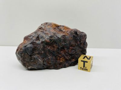 Pallasite - Unc