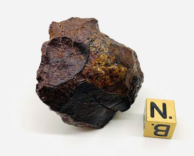 DaG 595 (Dar al Gani 595)