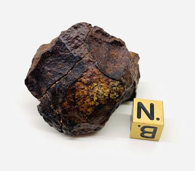 DaG 595 (Dar al Gani 595)